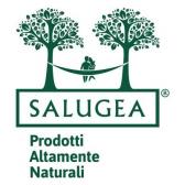 SalugeaIT logo