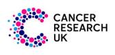 Cancer Research UK x Jodie Aziz Snowflake Silk Scarf – Only £40.00! at Cancer Research UK – Online Shop
