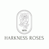 Harkness Roses image