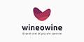 WineowineIT logo